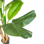 Realistic Artificial Indoor Plants Maintenance Greenery for Home , Office