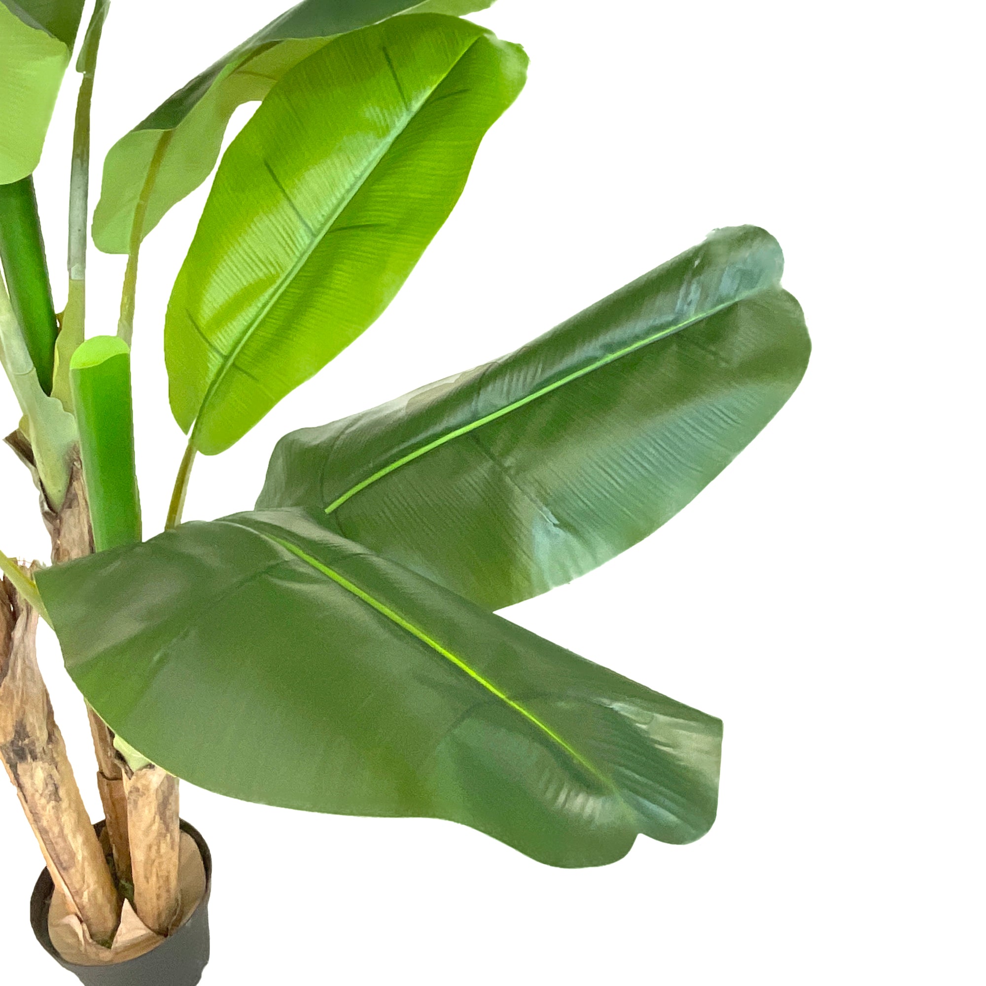 Realistic Artificial Indoor Plants Maintenance Greenery for Home , Office