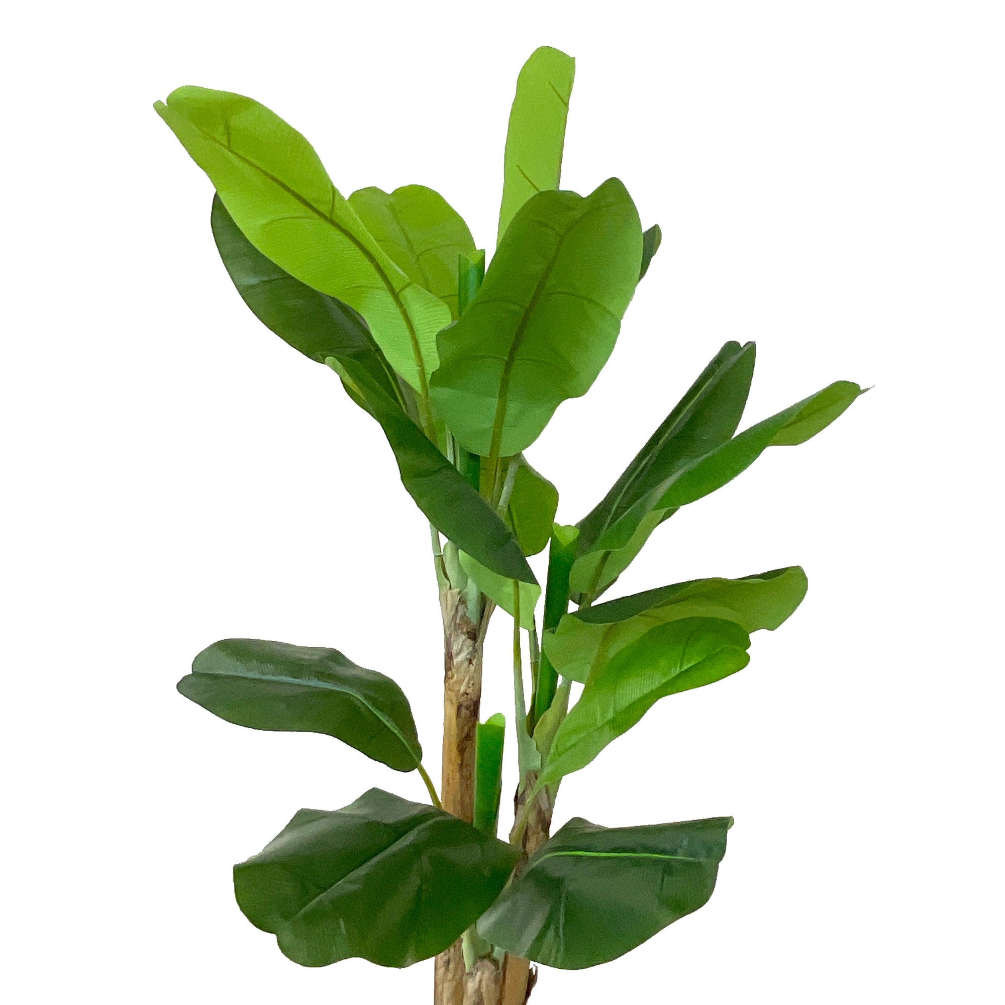 Realistic Artificial Indoor Plants Maintenance Greenery for Home , Office