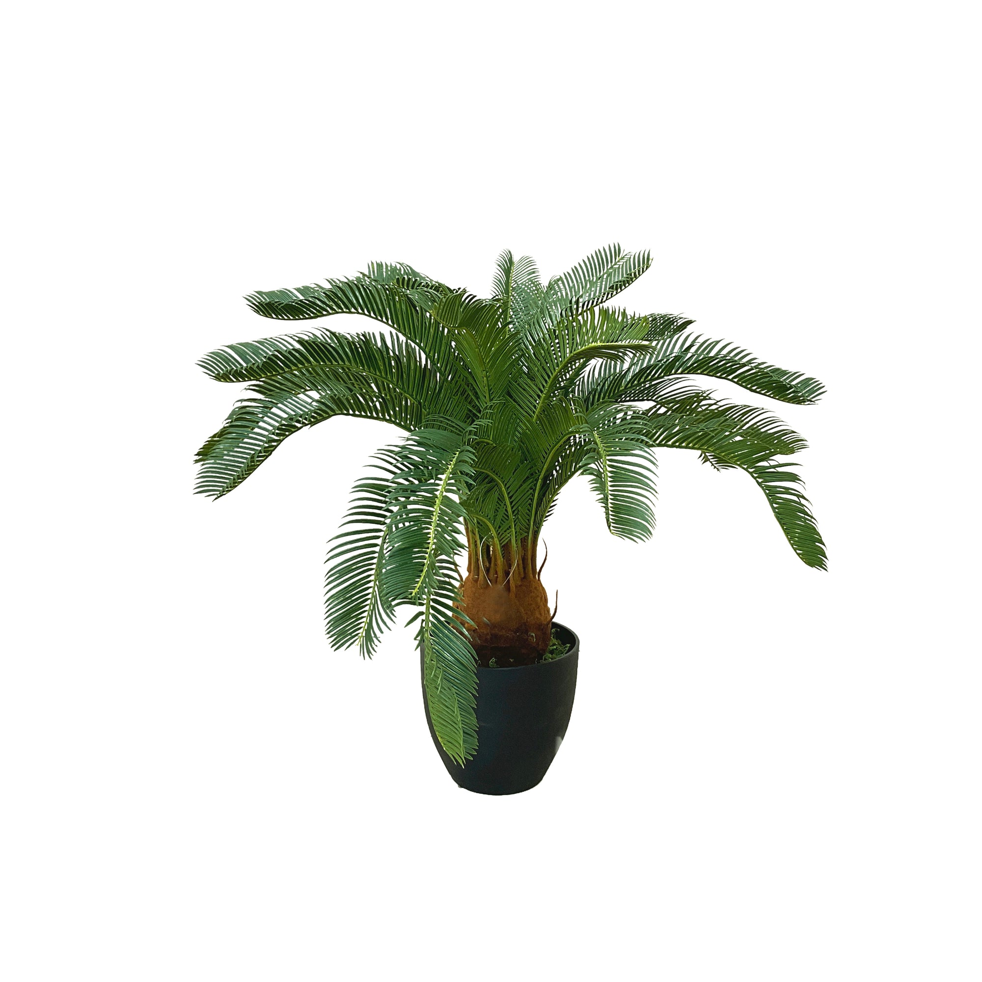 Realistic Artificial Indoor Plants Maintenance Greenery for Home , Office