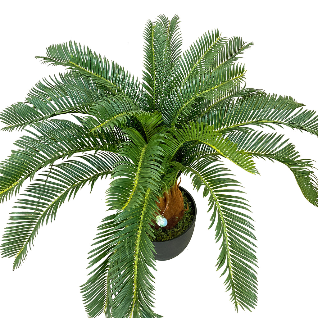 Realistic Artificial Indoor Plants Maintenance Greenery for Home , Office