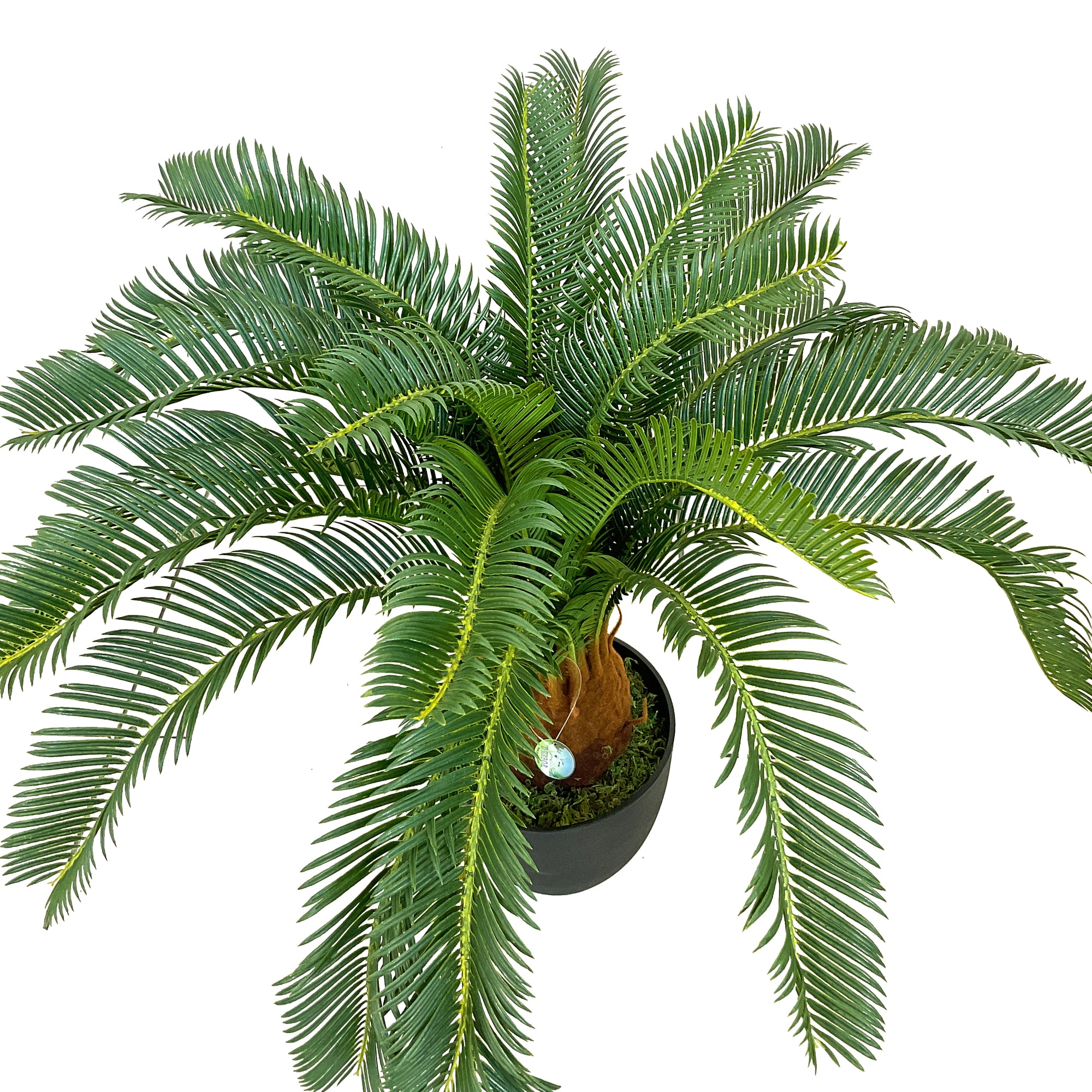 Realistic Artificial Indoor Plants Maintenance Greenery for Home , Office