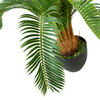 Realistic Artificial Indoor Plants Maintenance Greenery for Home , Office