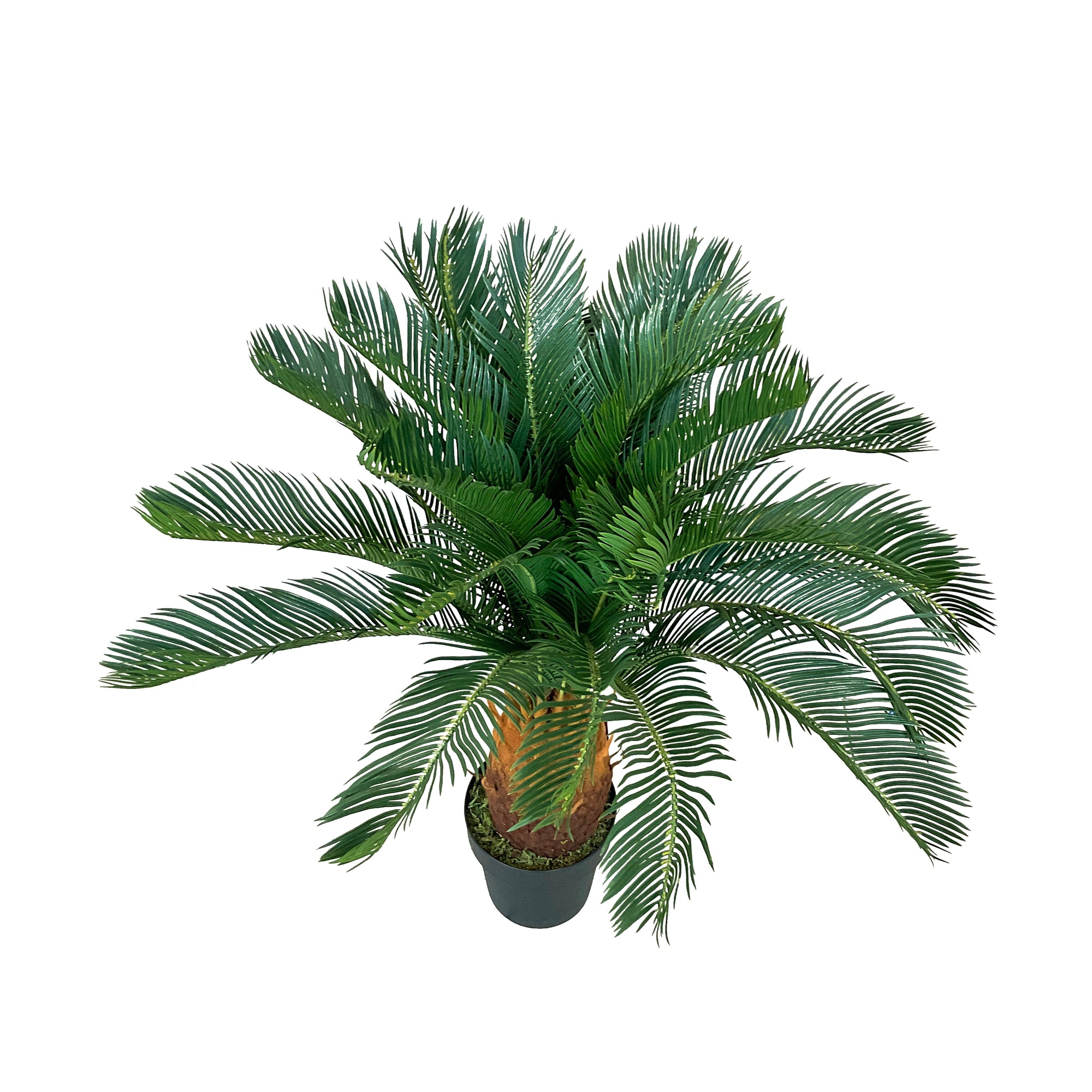 Realistic Artificial Indoor Plants Maintenance Greenery for Home , Office