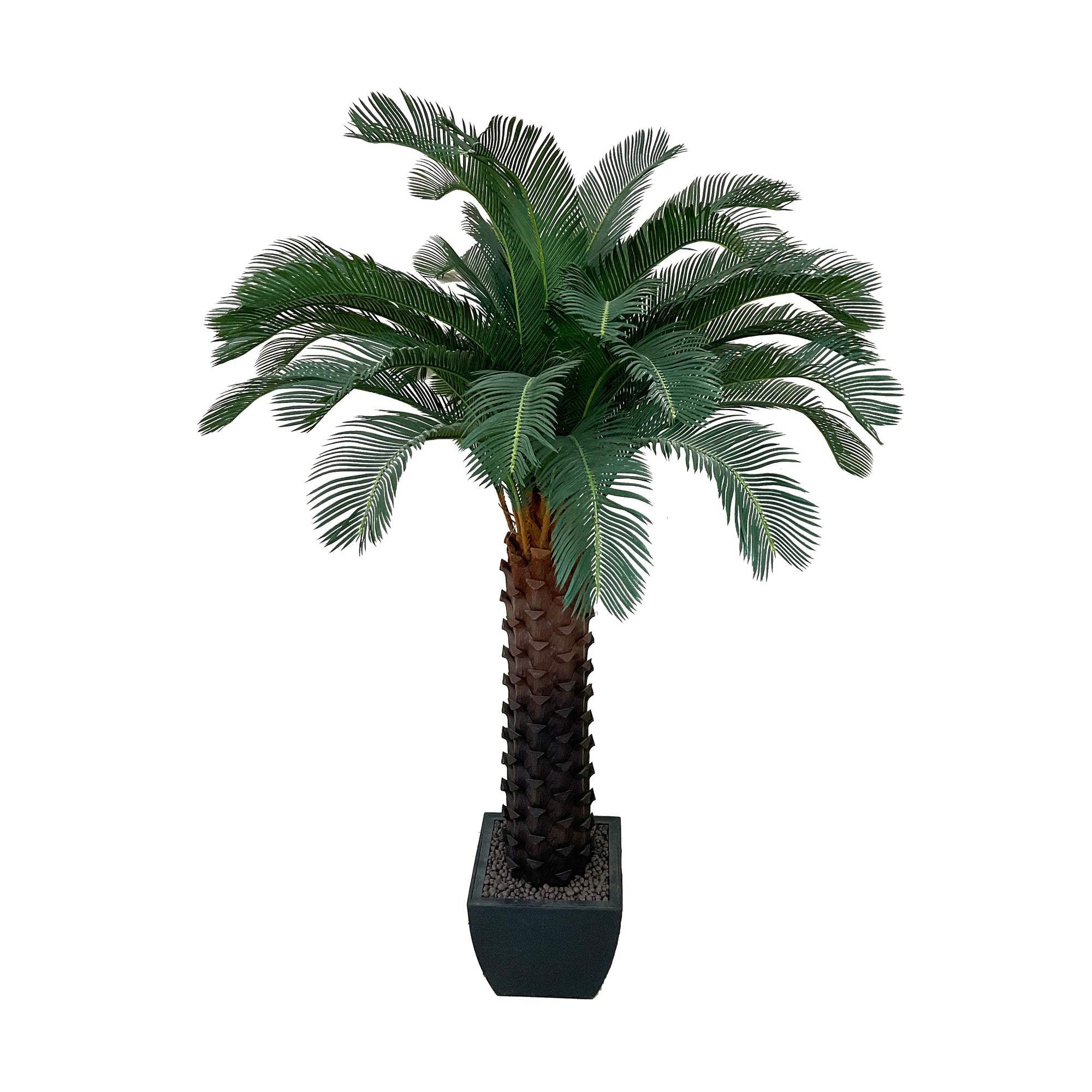 Realistic Artificial Indoor Plants Maintenance Greenery for Home , Office
