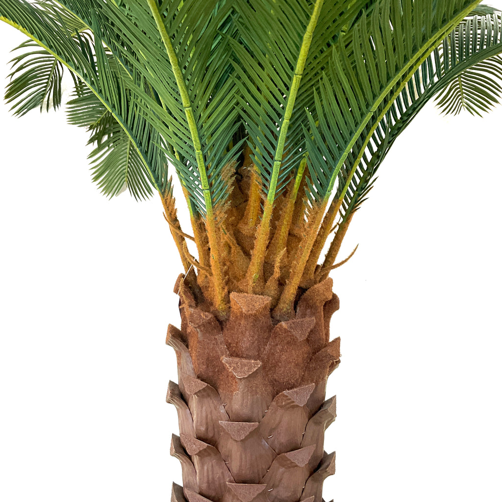 Realistic Artificial Indoor Plants Maintenance Greenery for Home , Office