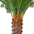 Realistic Artificial Indoor Plants Maintenance Greenery for Home , Office