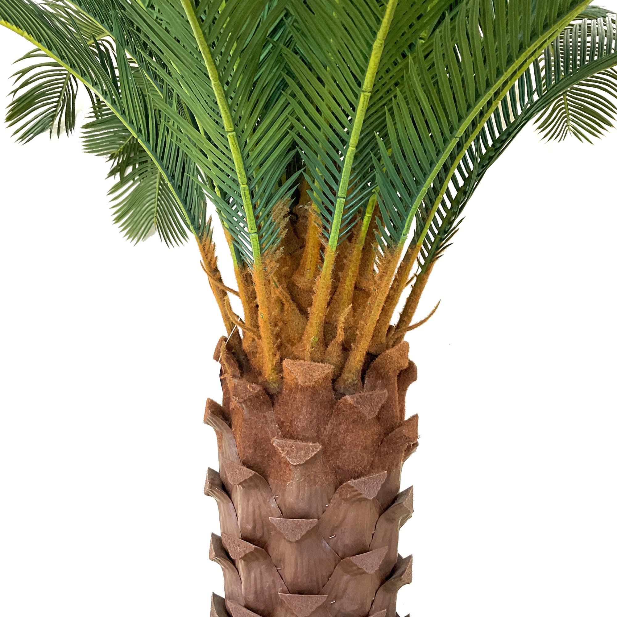 Realistic Artificial Indoor Plants Maintenance Greenery for Home , Office