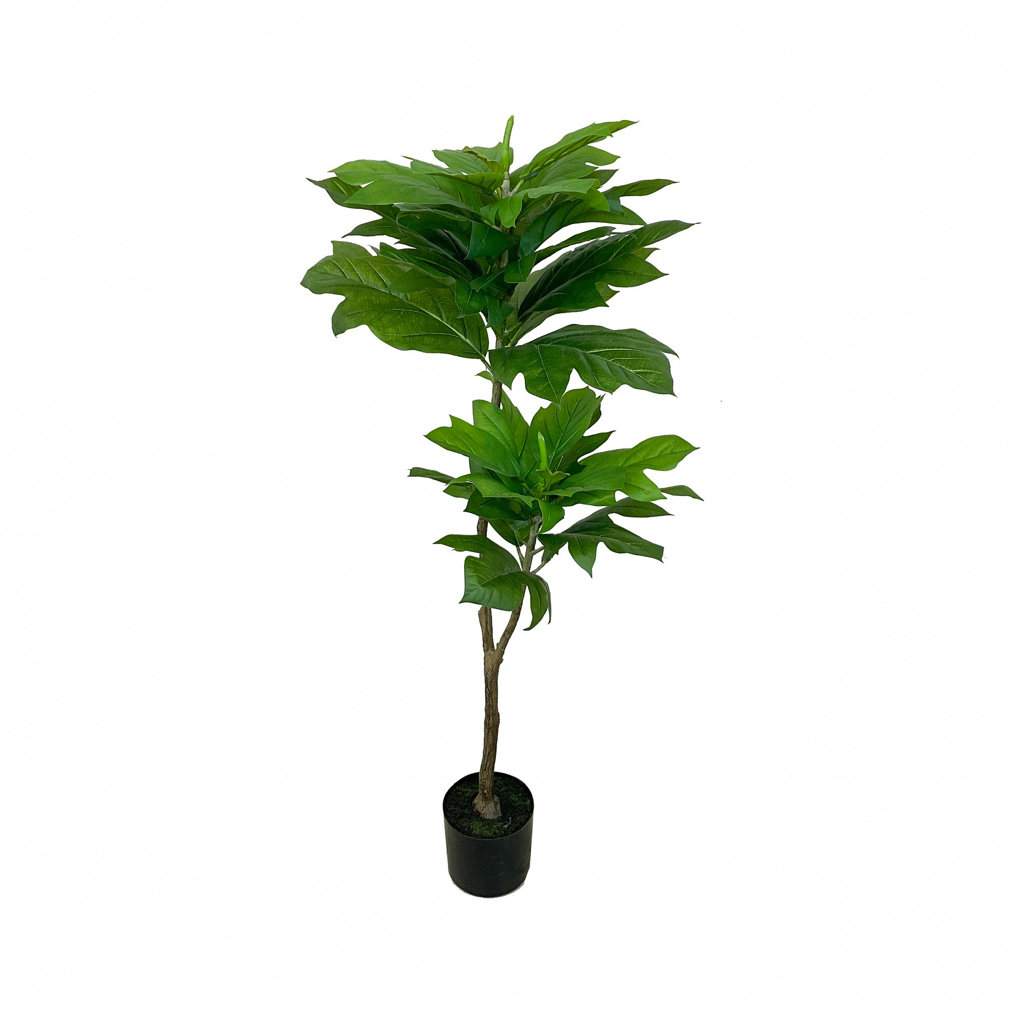 Realistic Artificial Indoor Plants Maintenance Greenery for Home , Office