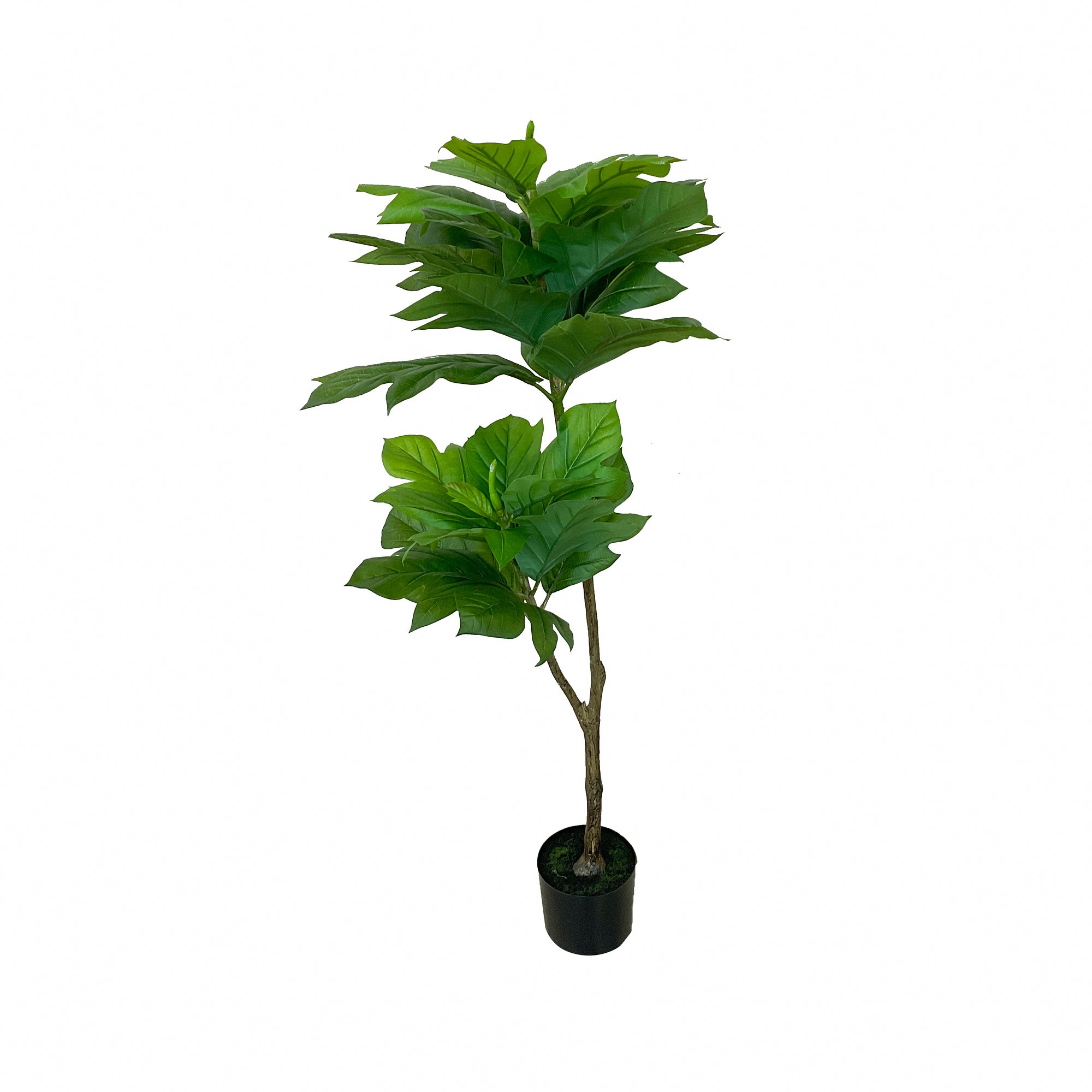 Realistic Artificial Indoor Plants Maintenance Greenery for Home , Office