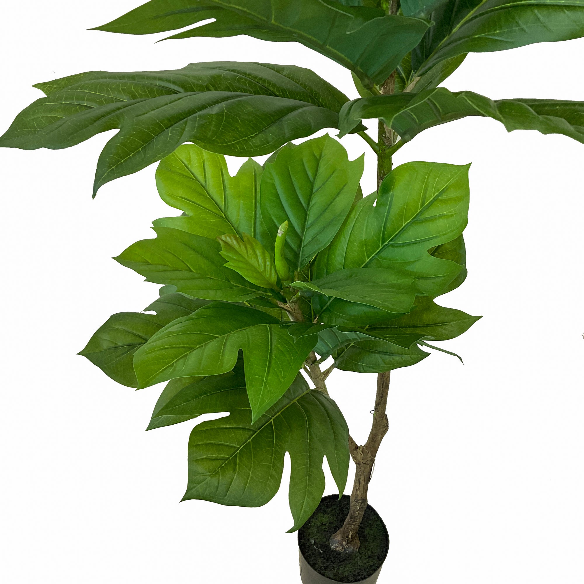 Realistic Artificial Indoor Plants Maintenance Greenery for Home , Office
