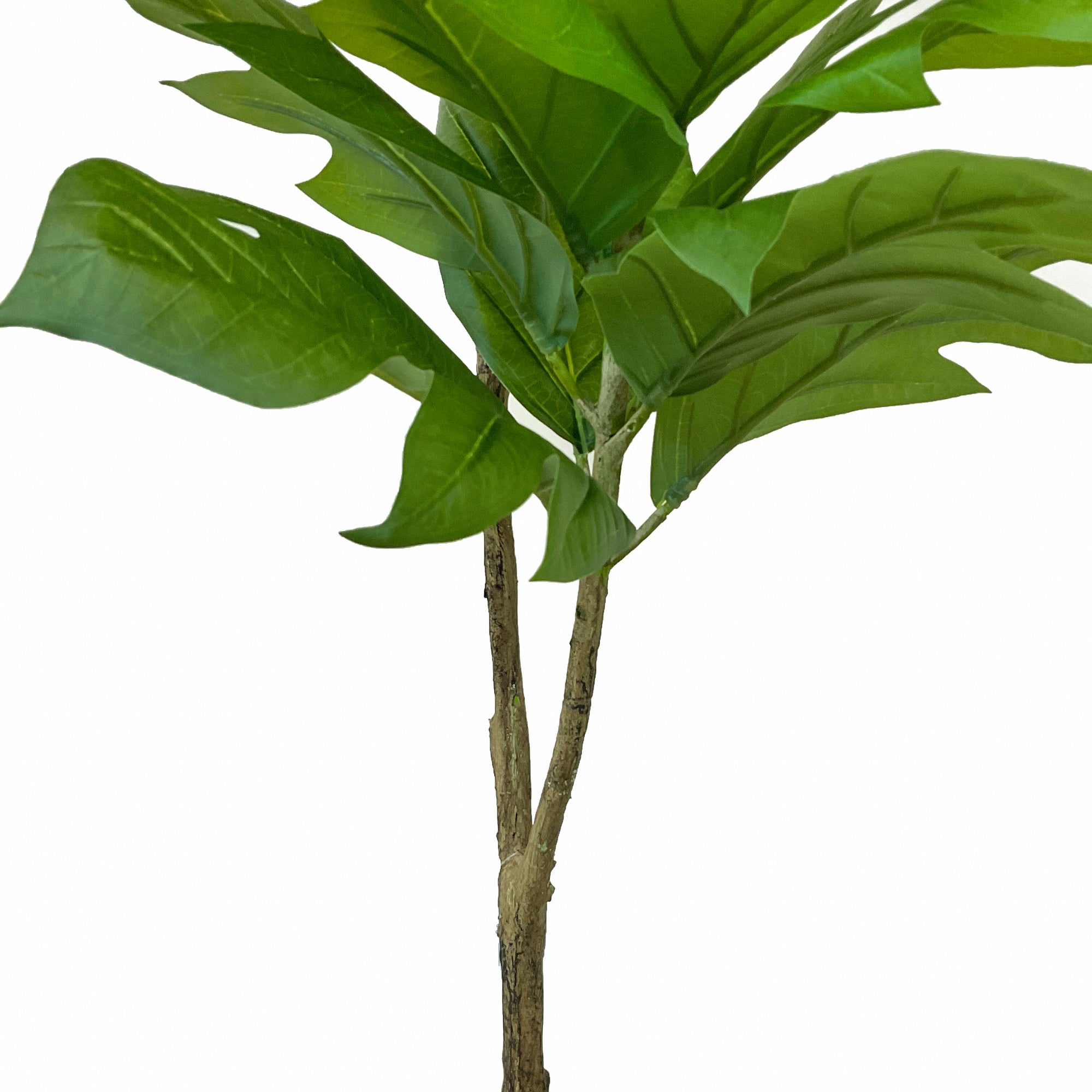 Realistic Artificial Indoor Plants Maintenance Greenery for Home , Office