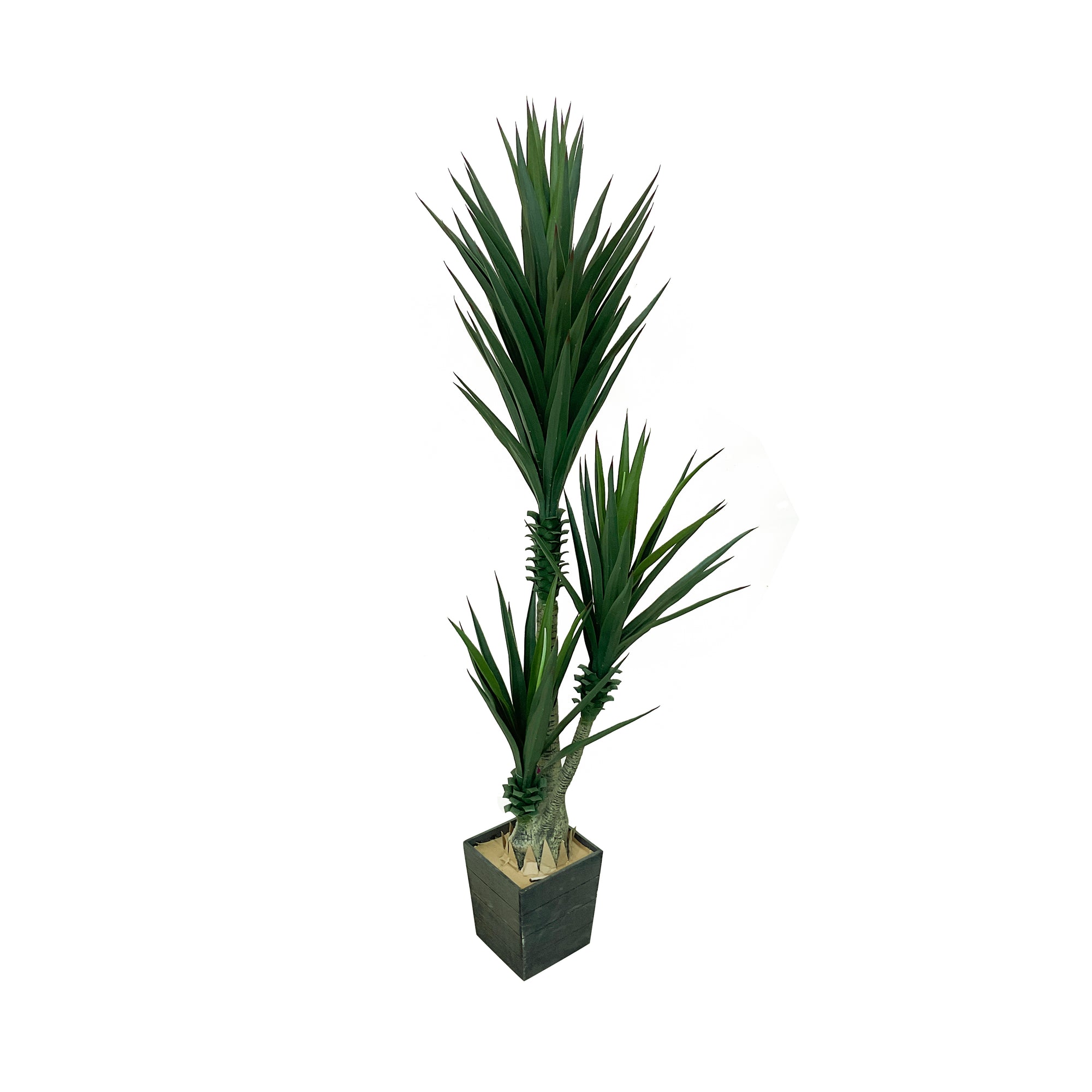 Realistic Artificial Indoor Plants Maintenance Greenery for Home , Office