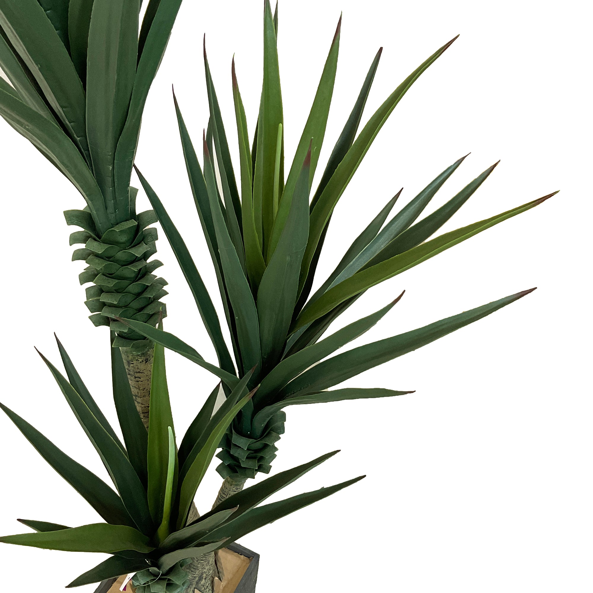 Realistic Artificial Indoor Plants Maintenance Greenery for Home , Office