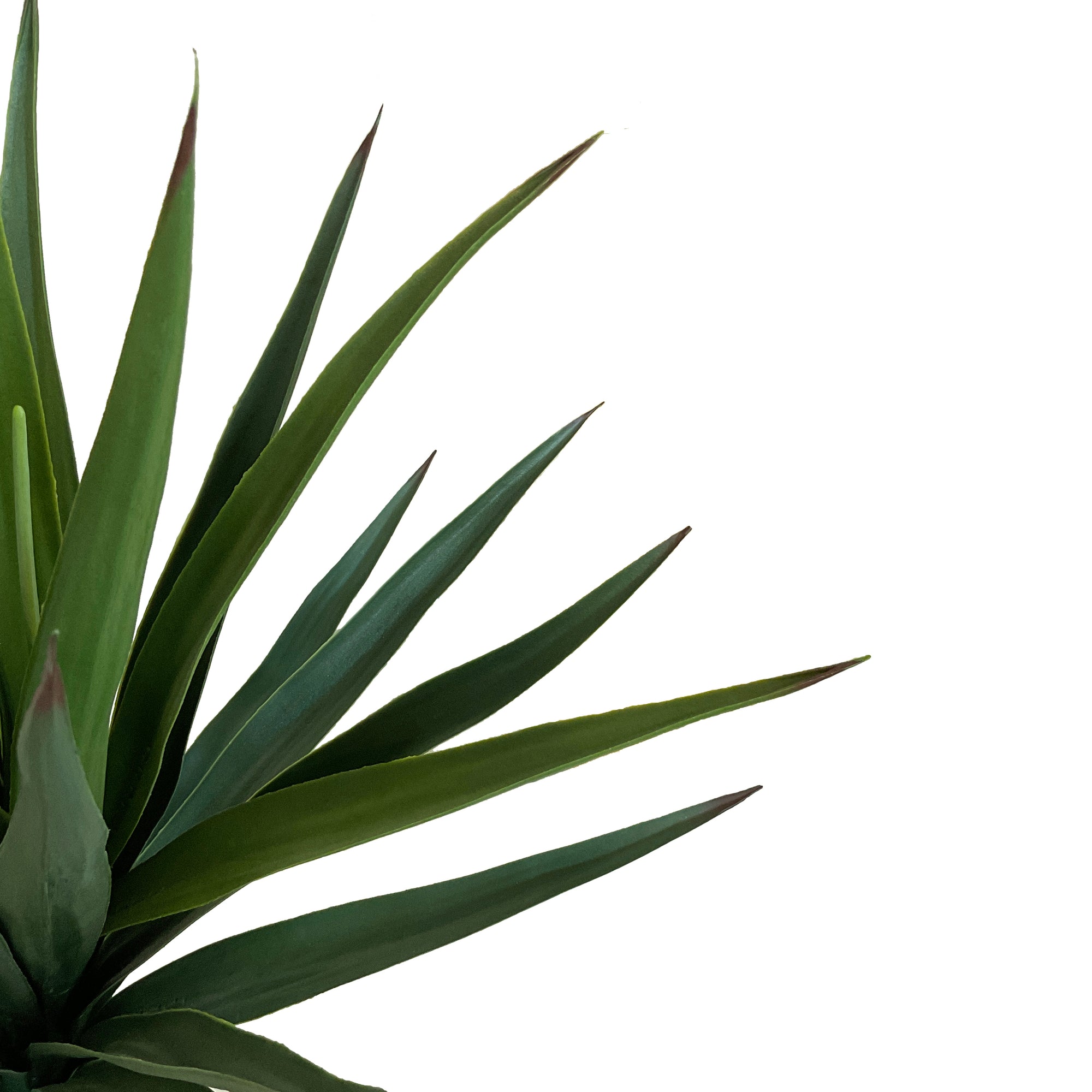 Realistic Artificial Indoor Plants Maintenance Greenery for Home , Office