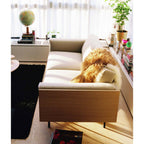 Maple Home Upholstered Sofa Set Custom Sizes & Colors,UAE-Made